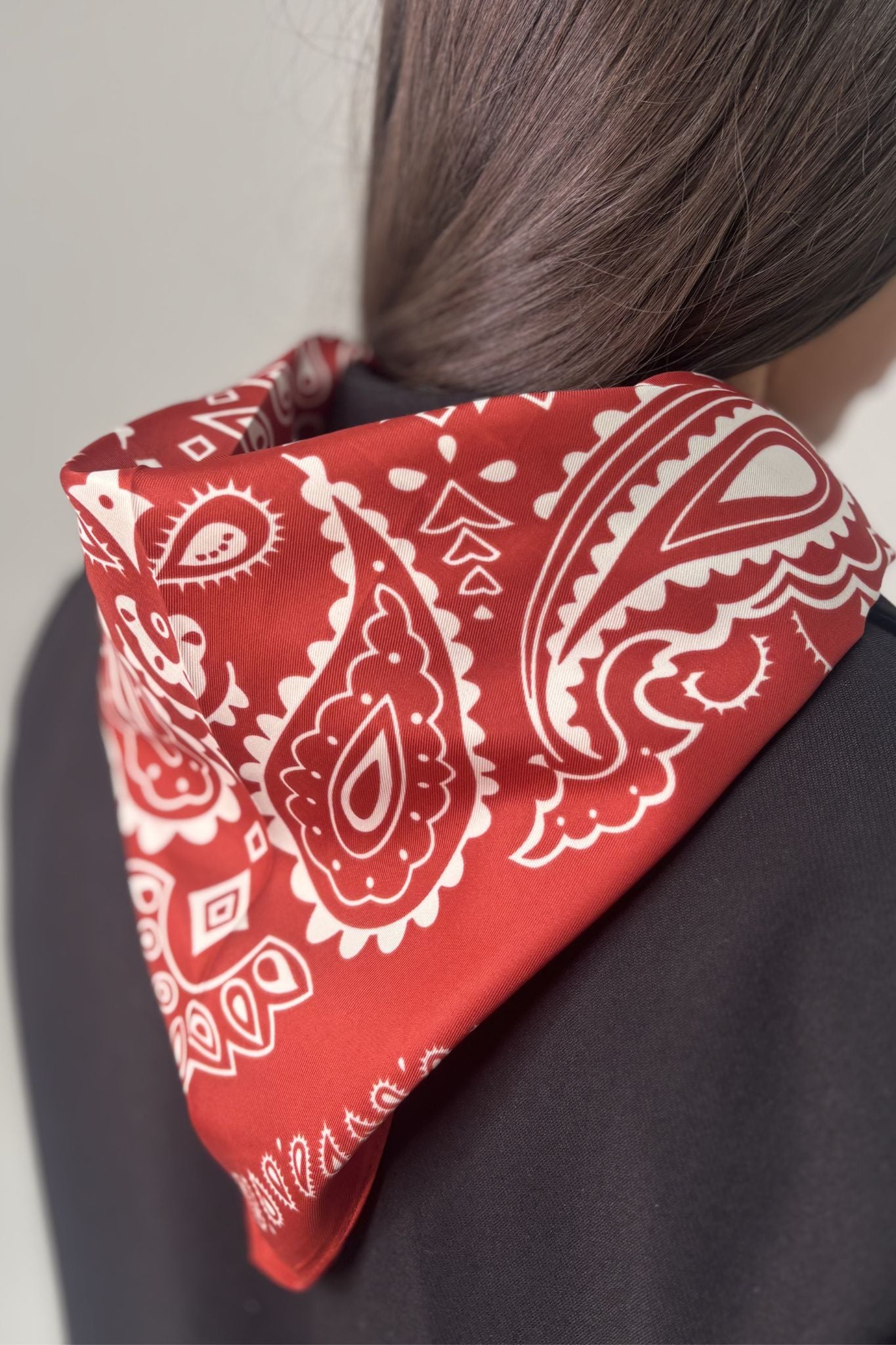 Orla Paisley Print Neck Scarf In Bordeaux