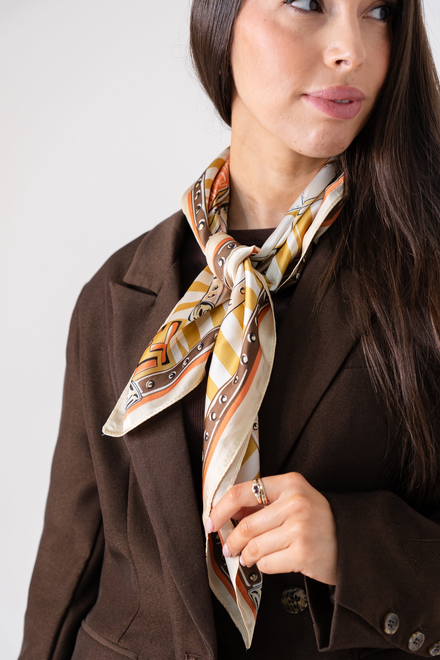 Orla Handbag Print Neck Scarf In Taupe Mix