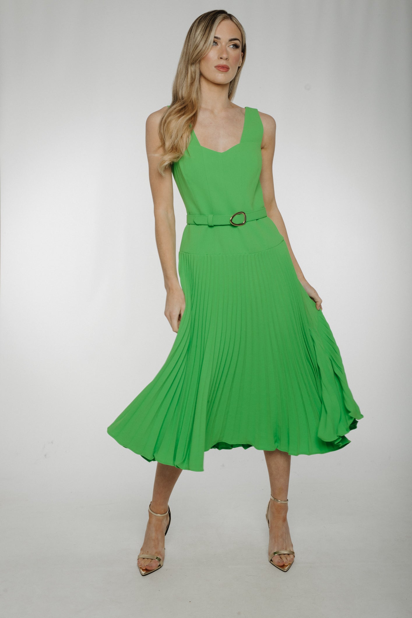 Eva Pleated Dress In Green