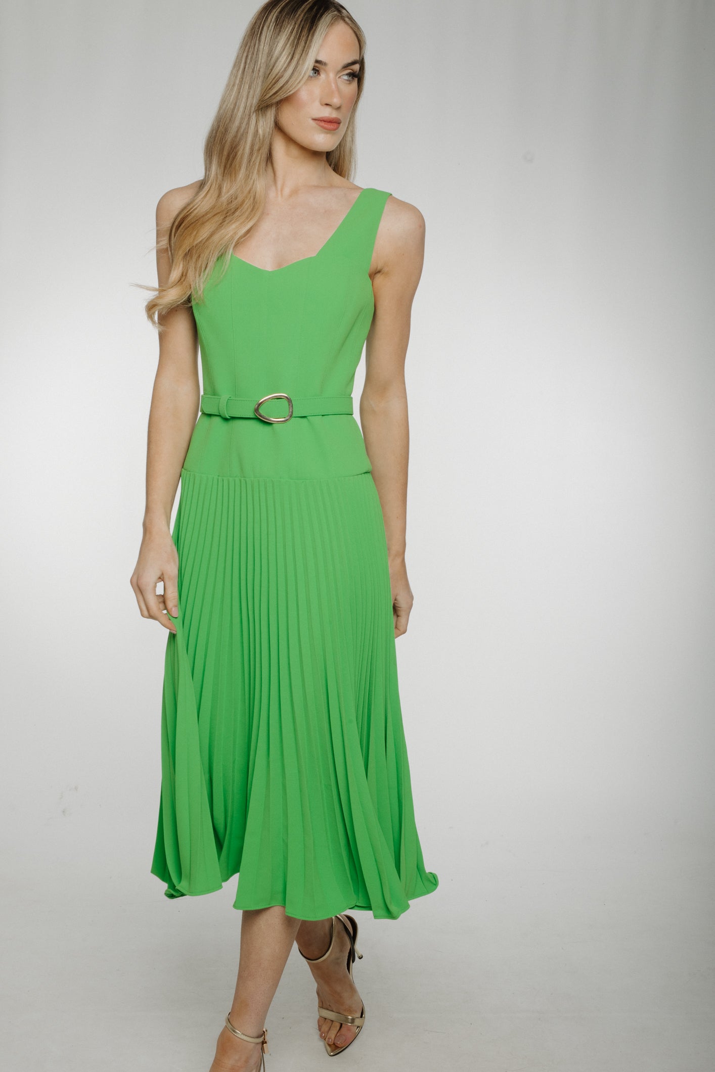 Eva Pleated Dress In Green
